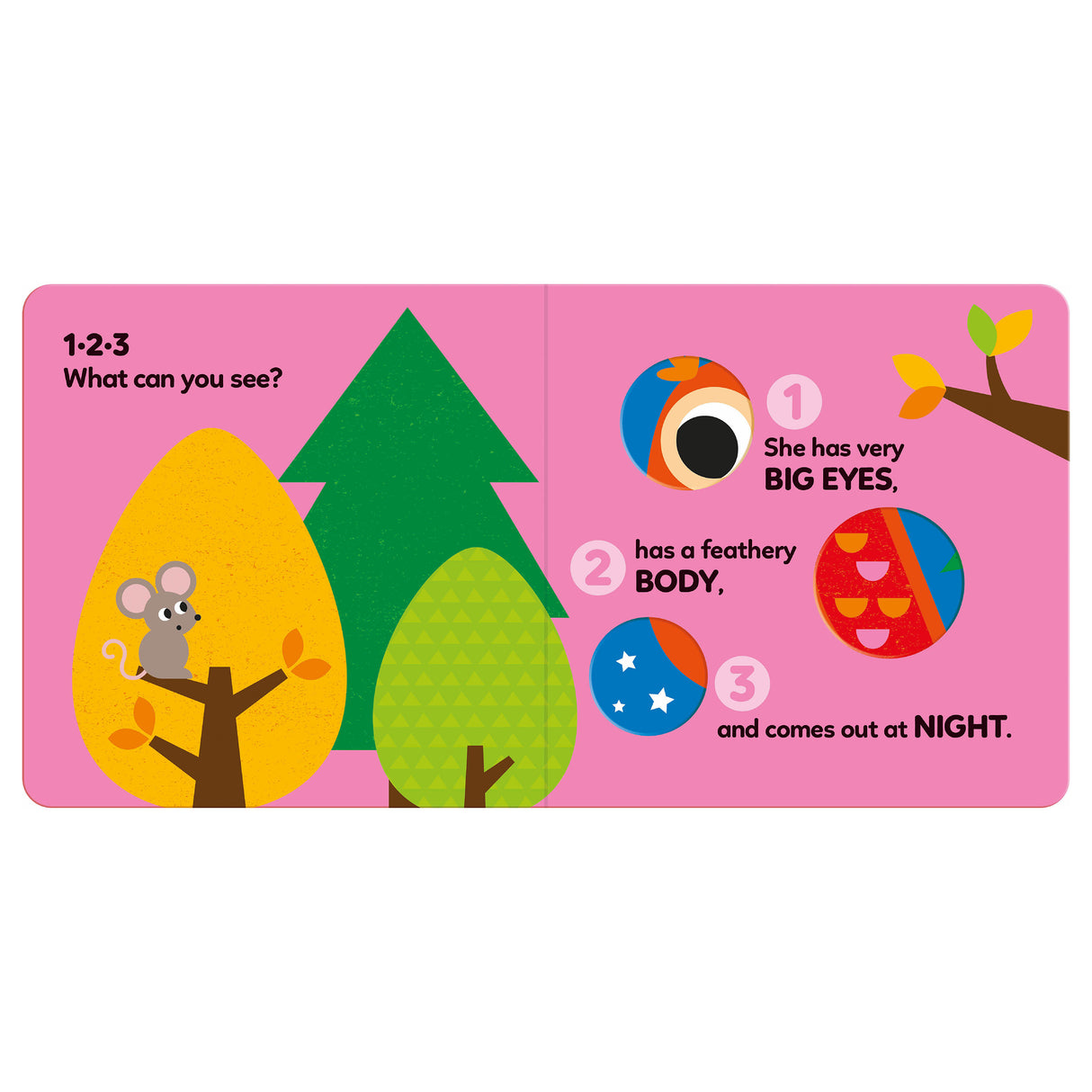 123 What Can You See - In the Forest