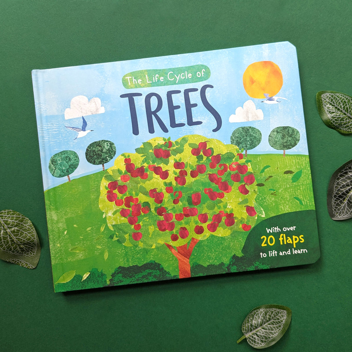 The Life Cycle of Trees - Children’s Lift-the-Flap Book
