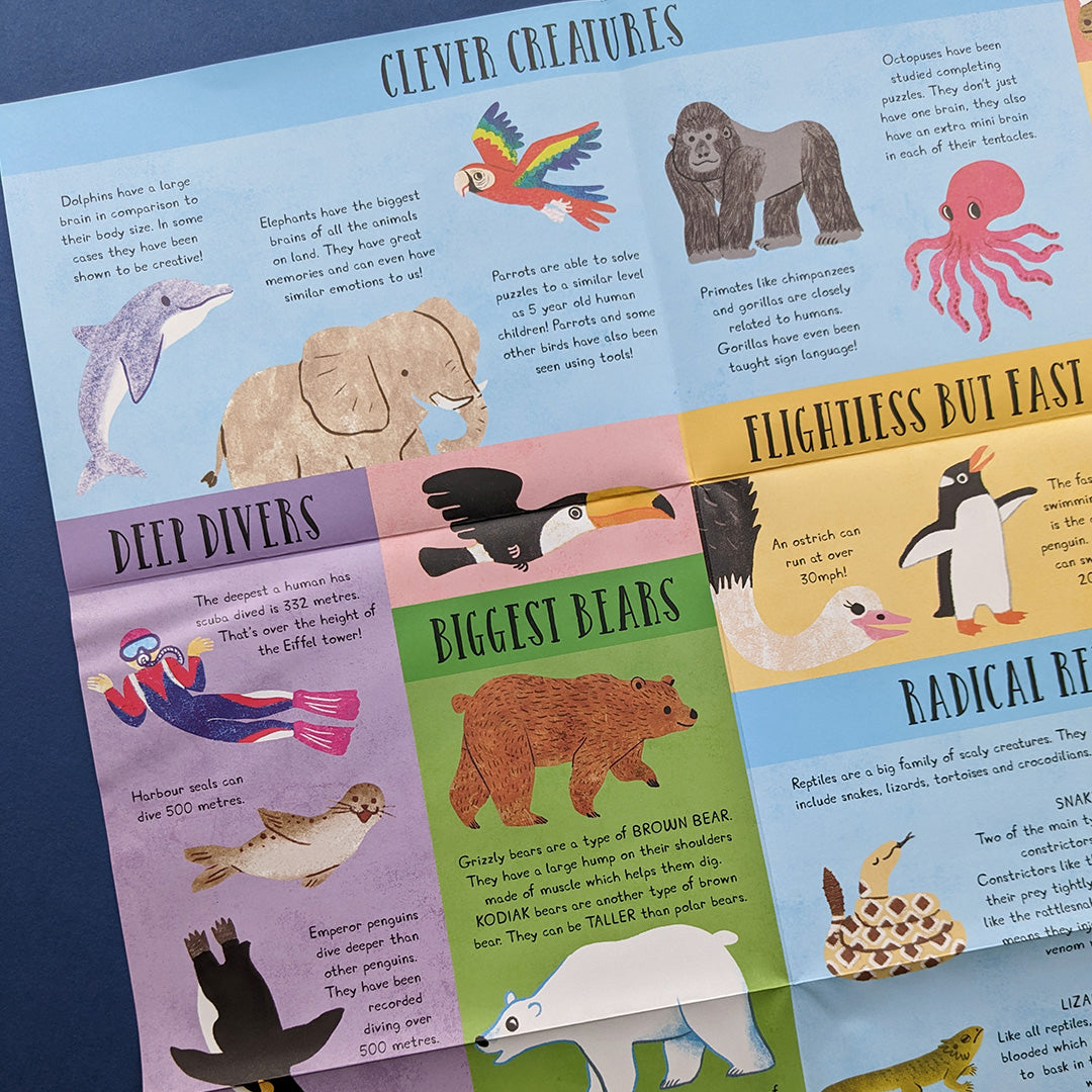Which Animal Would Be A Good Friend? - Children’s Question & Answer Book