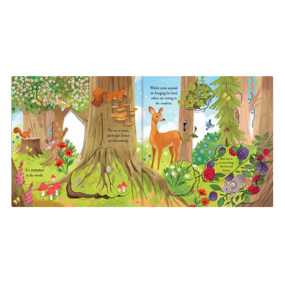 Let's Explore The Woods - Children's Lift-The-Flap Book