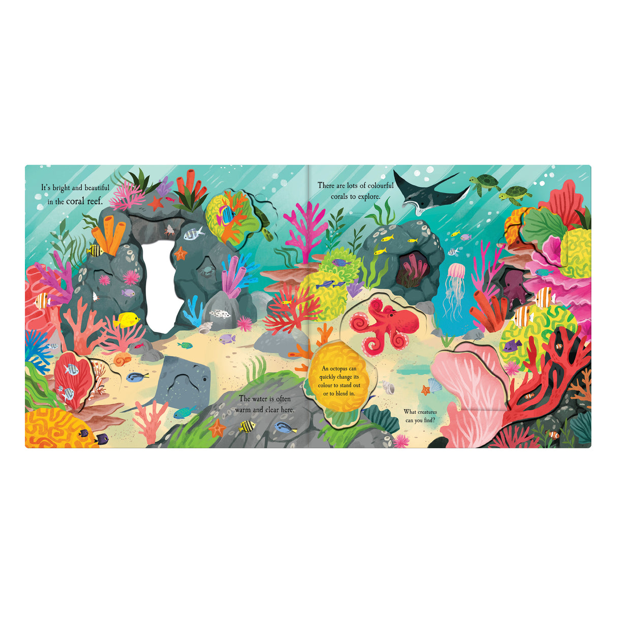 Let's Explore The Ocean - Children's Lift-The-Flap Book
