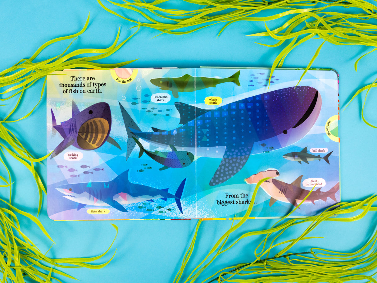 Fantastic Fish - My Nature Pull-Tab Board Book