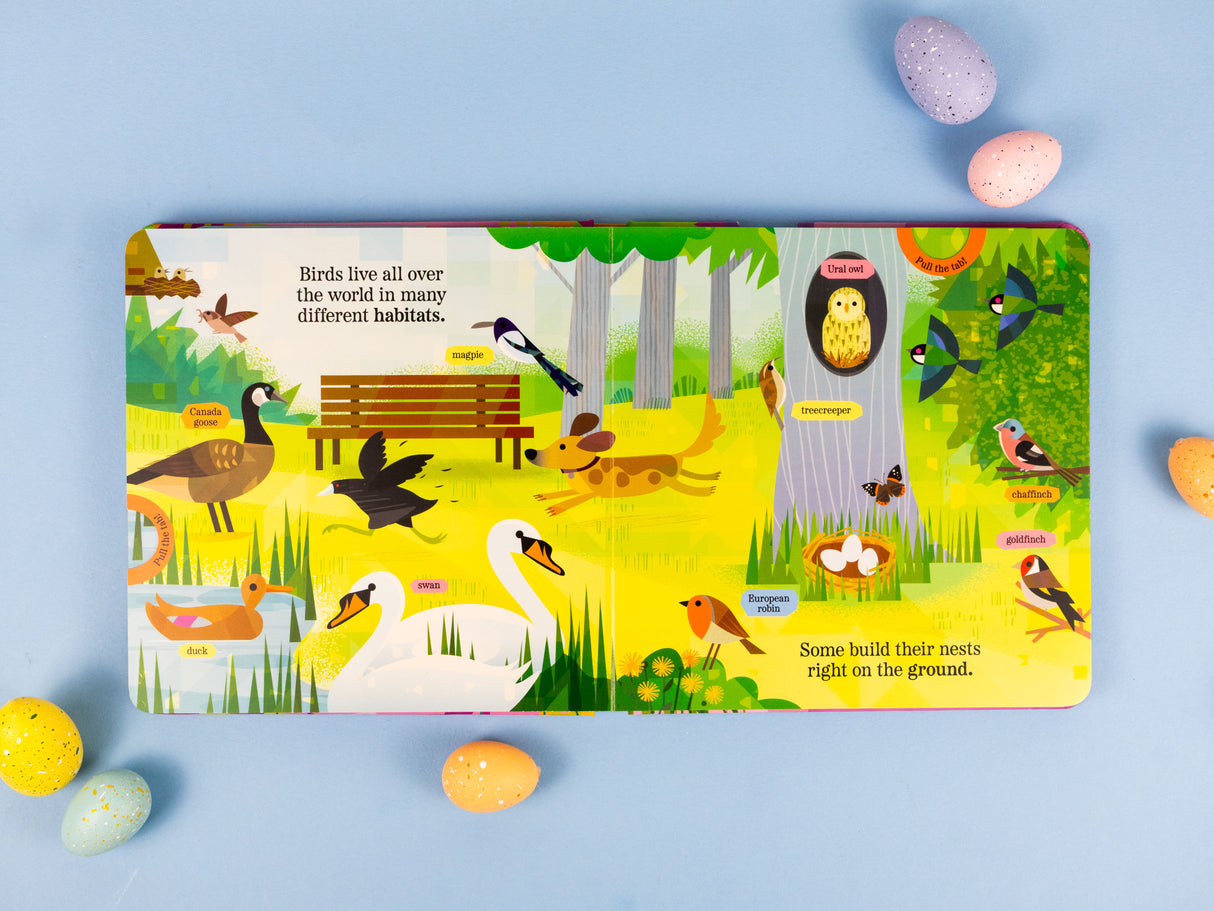 Beautiful Birds - My Nature Pull-Tab Board Book