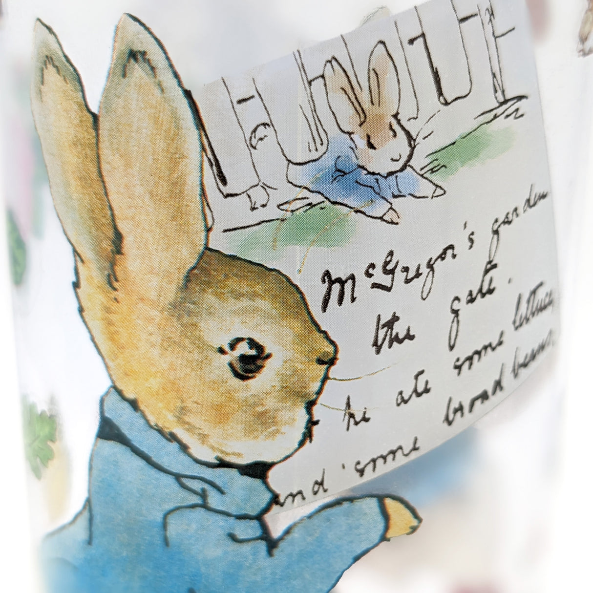 Peter Rabbit Children’s Water Bottle – 500ml BPA-Free Drink Bottle