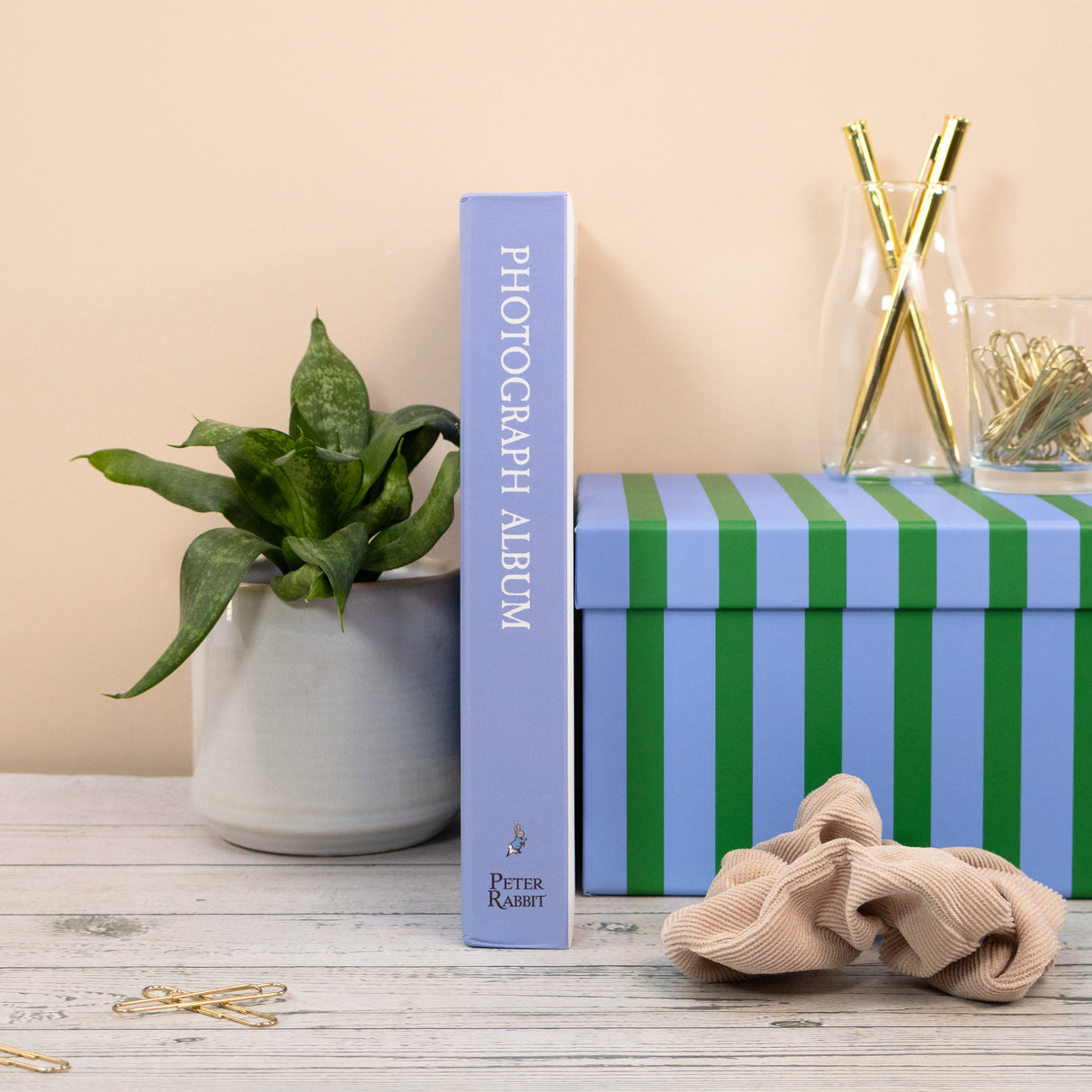 Peter Rabbit Photo Album - Forest Picnic
