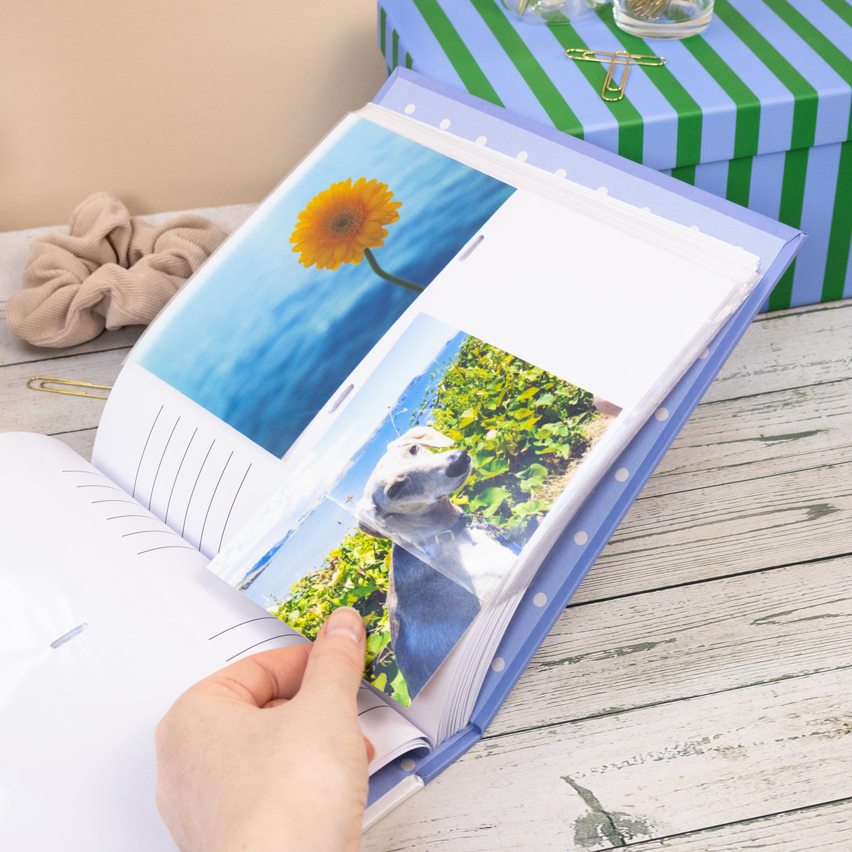 Peter Rabbit Photo Album - Forest Picnic