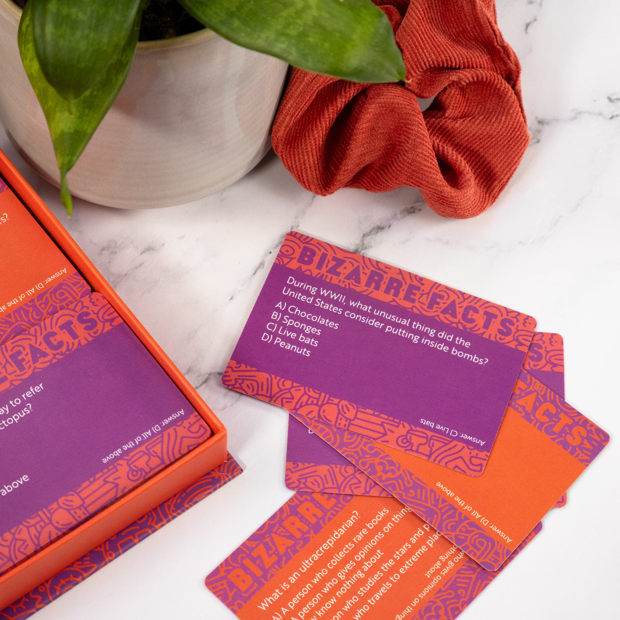 Bizarre Facts Trivia Cards