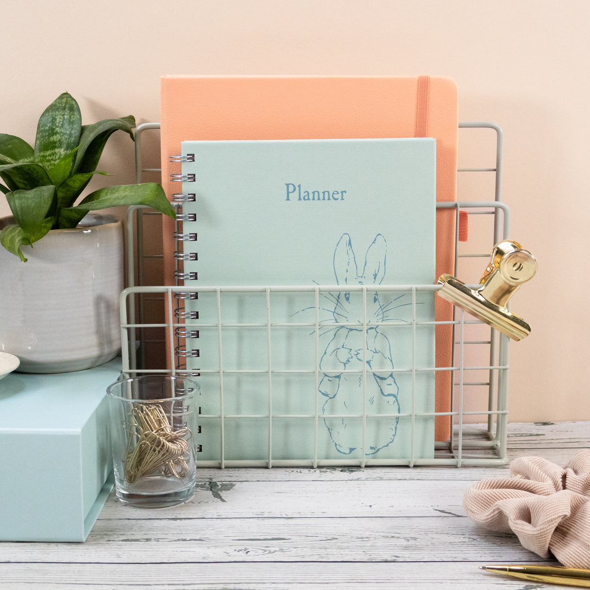Peter Rabbit A5 Wired Notebook with Dividers