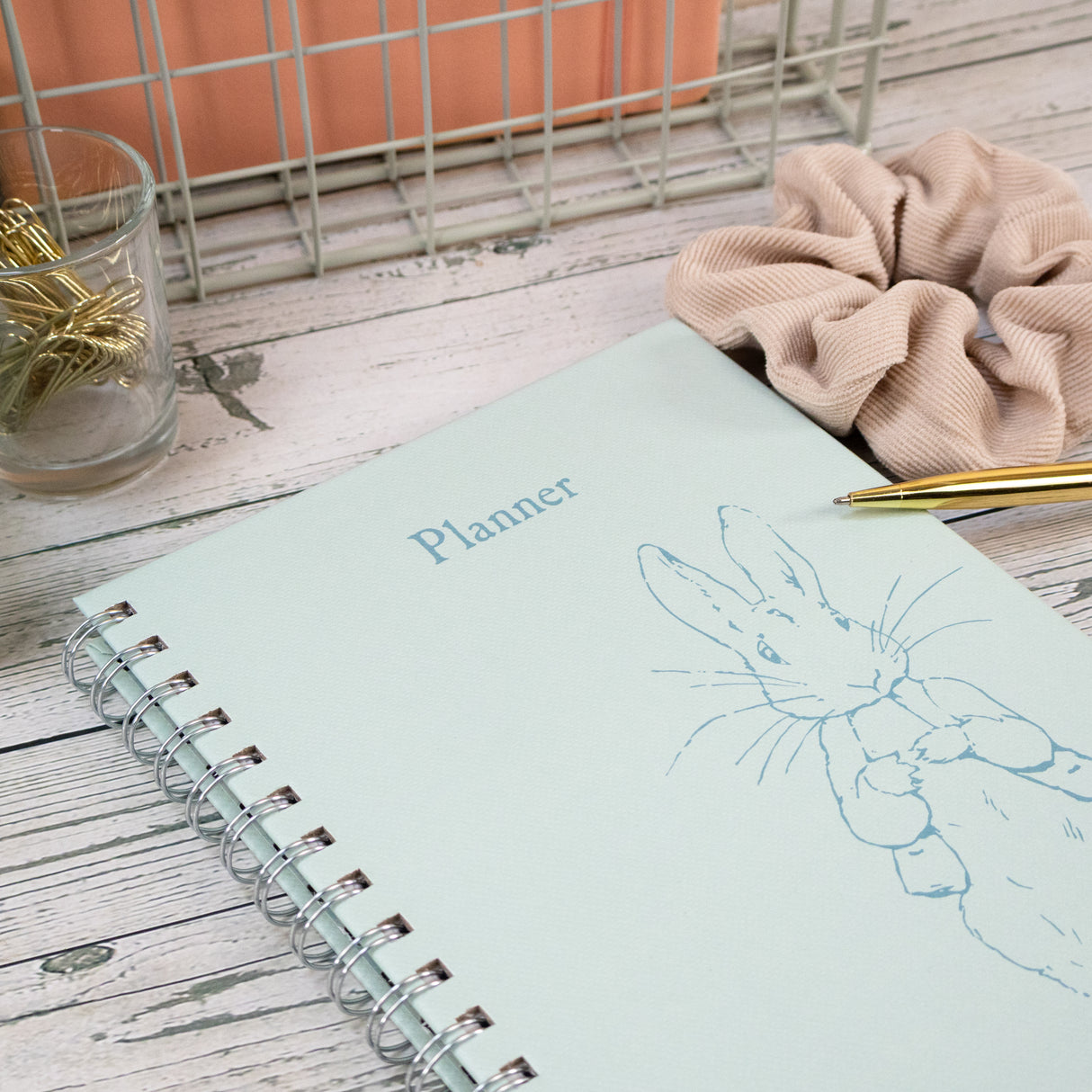 Peter Rabbit A5 Wired Notebook with Dividers