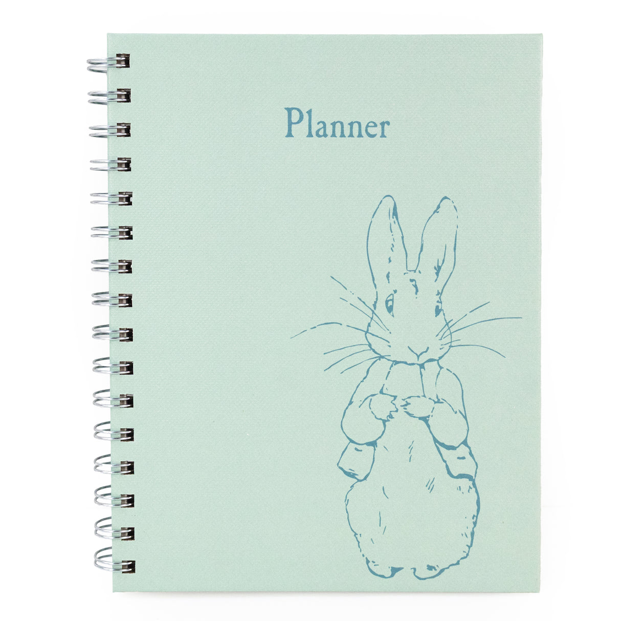 Peter Rabbit A5 Wired Notebook with Dividers