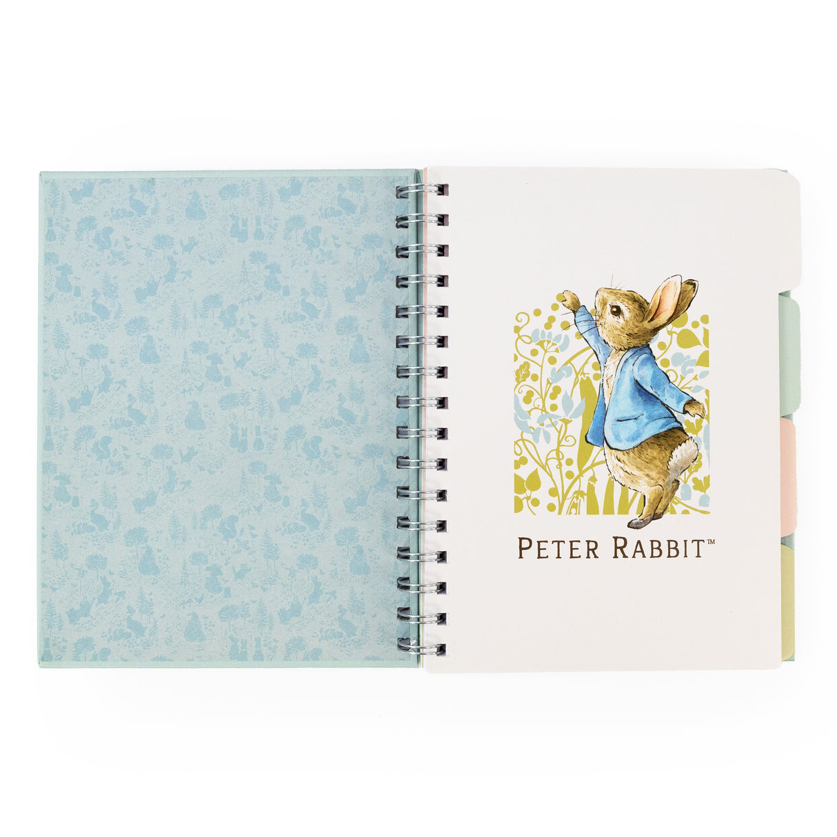 Peter Rabbit A5 Wired Notebook with Dividers