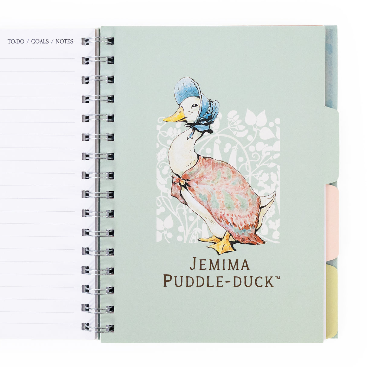 Peter Rabbit A5 Wired Notebook with Dividers