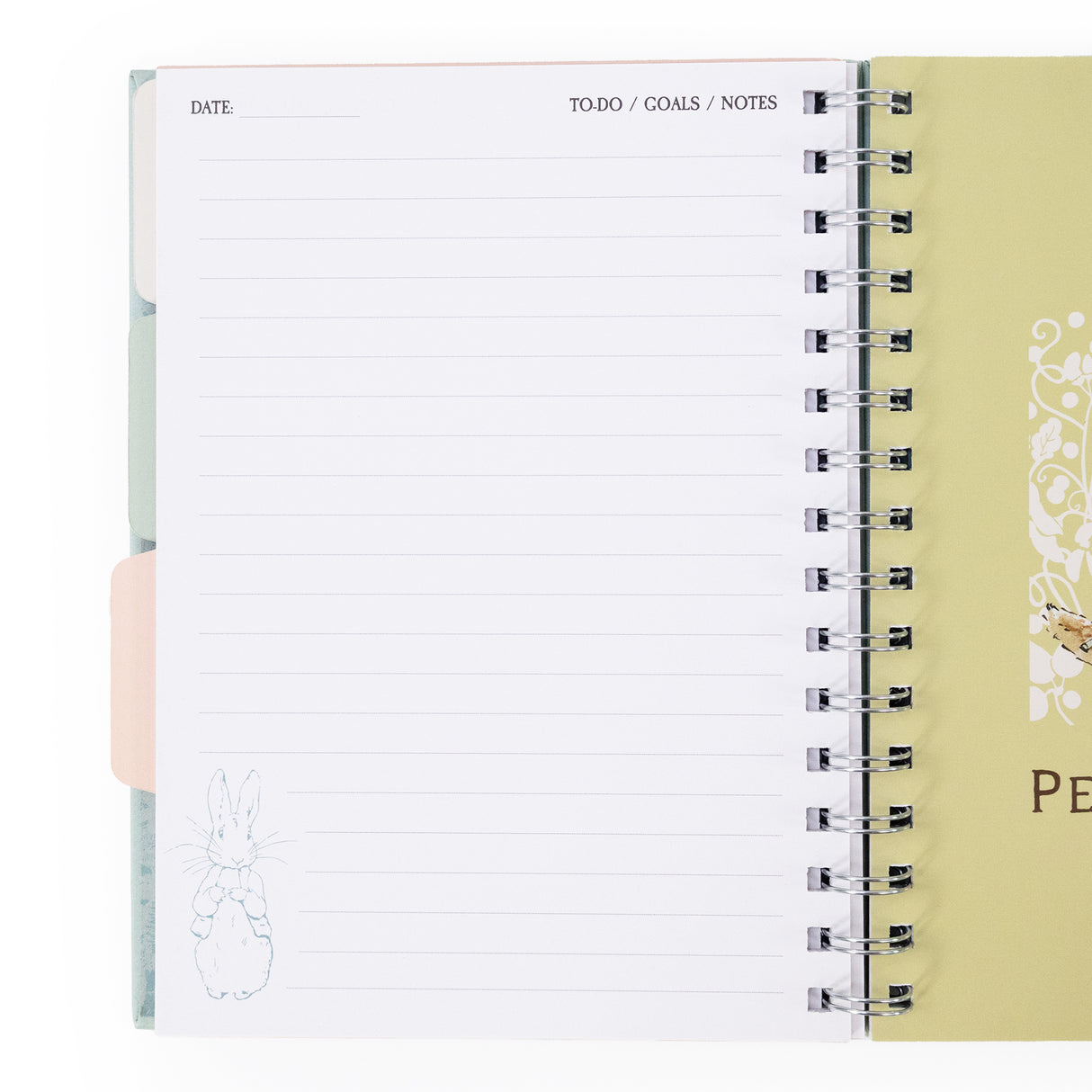 Peter Rabbit A5 Wired Notebook with Dividers