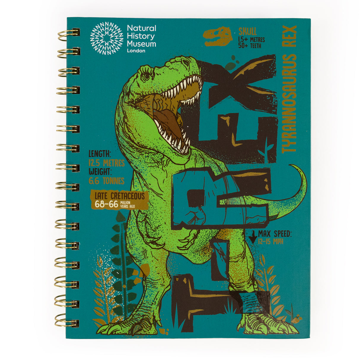 Natural History Museum Dinosaur A5 Wired Notebook with Dividers - T- Rex
