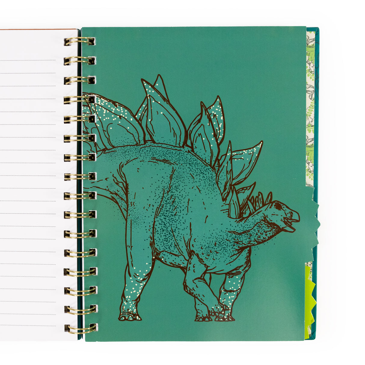 Natural History Museum Dinosaur A5 Wired Notebook with Dividers - T- Rex