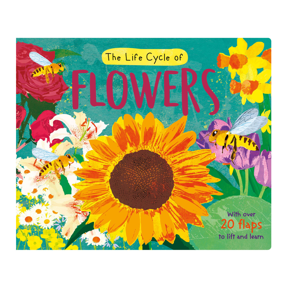 The Life Cycle of Flowers - Children’s Lift-the-Flap Book