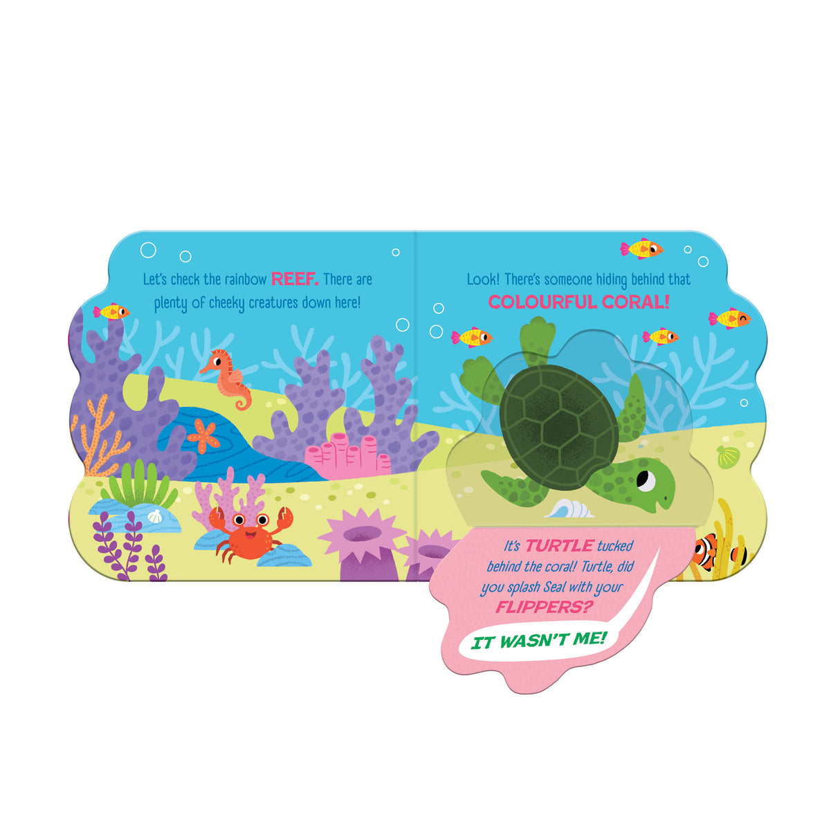 Did You Splash? - Children's Lift-the-Flap Board Book