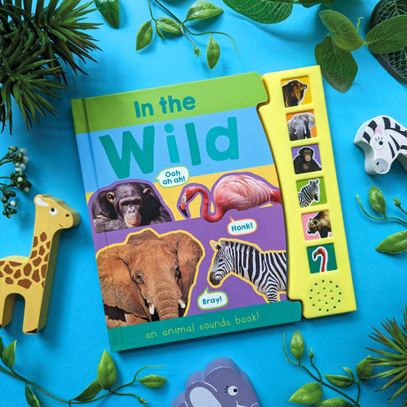 Animals & Nature Sound Books