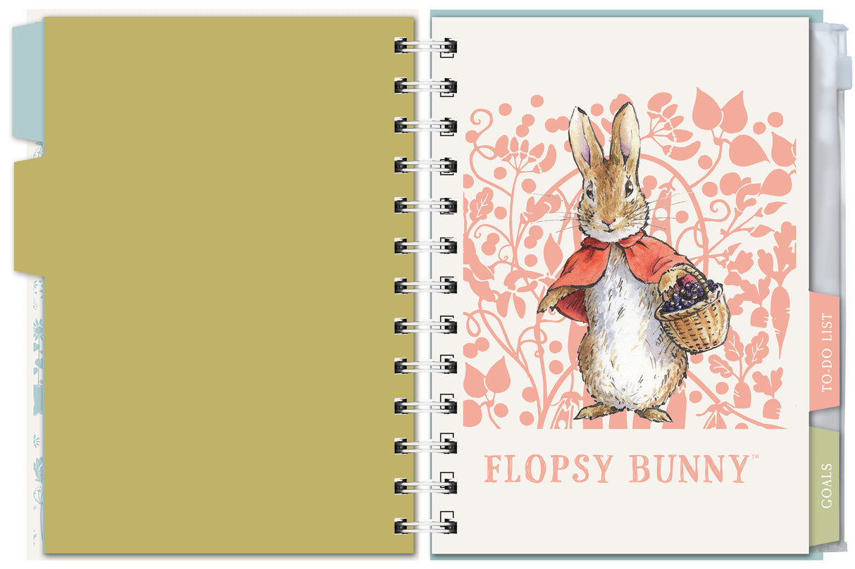 Peter Rabbit Organiser Diary 2027