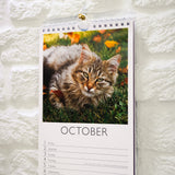 Cats Slim Wall Calendar 2027