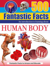 500 Fantastic Facts - The Human Body - Children's Reference Book - STEM Learning