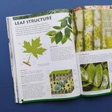 Discover Geography, Geology & Botany - A First Introduction To Science - Children's STEM Book
