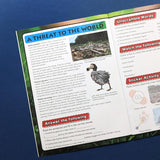 Saving Planet Earth Sticker Book - Find, Stick and Learn
