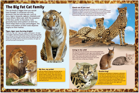 Encyclopedia of Cats: A Comprehensive Guide to Cat Breeds - Children's Reference Book