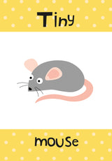 Children’s Early Learning Flash Cards
