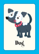 Children’s First Learning Flash Cards