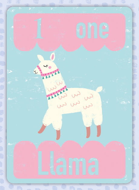 Children’s First Learning Playtime Pals Flash Cards
