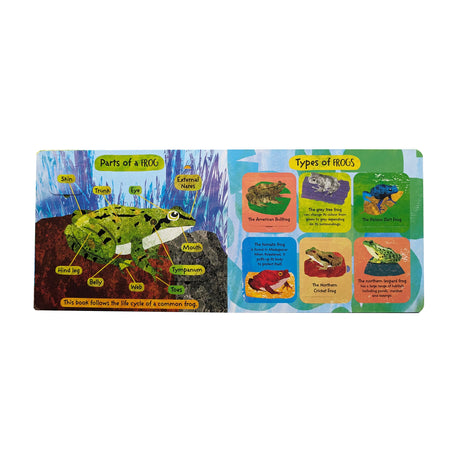 The Life Cycle of Frogs - Children’s Lift-the-Flap Book
