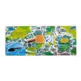 The Life Cycle of Frogs - Children’s Lift-the-Flap Book