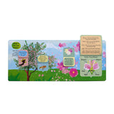 The Life Cycle of Trees - Children’s Lift-the-Flap Book