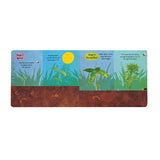 The Life Cycle of Flowers - Children’s Lift-the-Flap Book