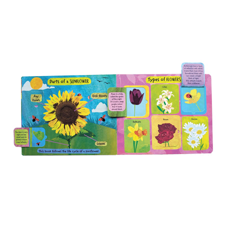 The Life Cycle of Flowers - Children’s Lift-the-Flap Book