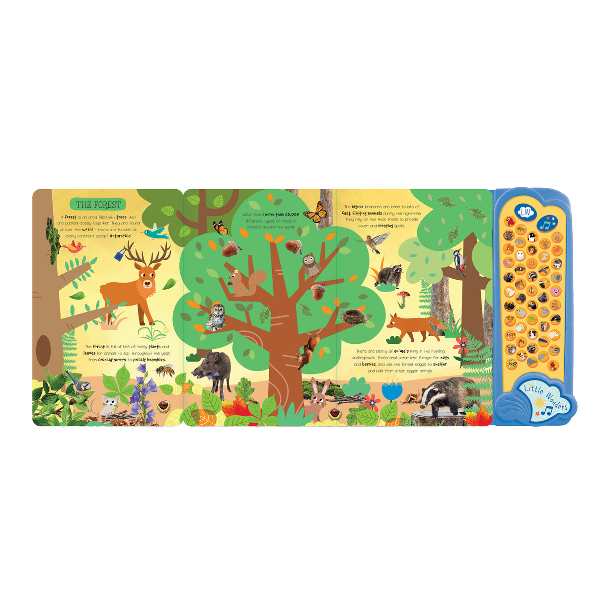 Look & Listen Animals Sound Book – 52 Sounds from the Animal Kingdom