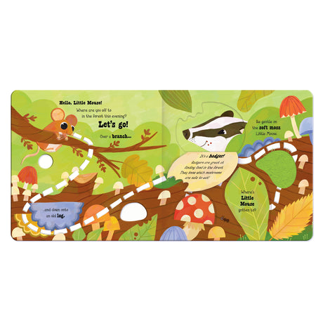 Explore the Woods with Little Mouse