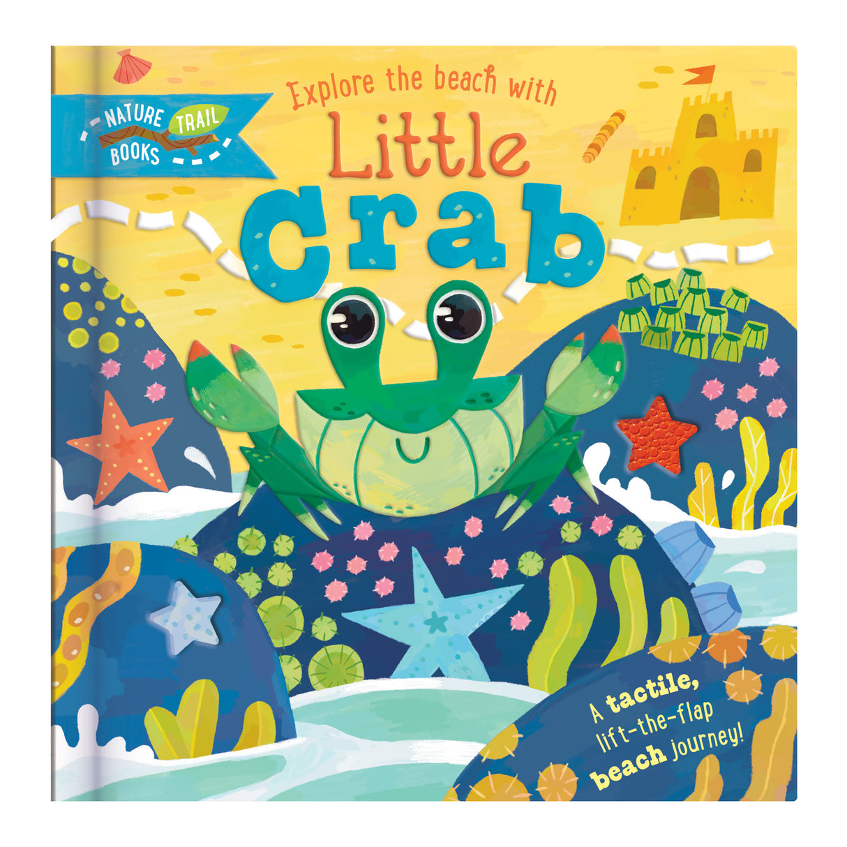Explore the Beach with Little Crab
