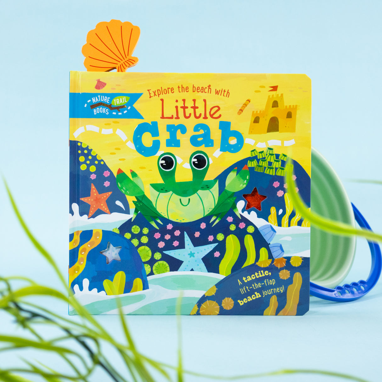 Explore the Beach with Little Crab