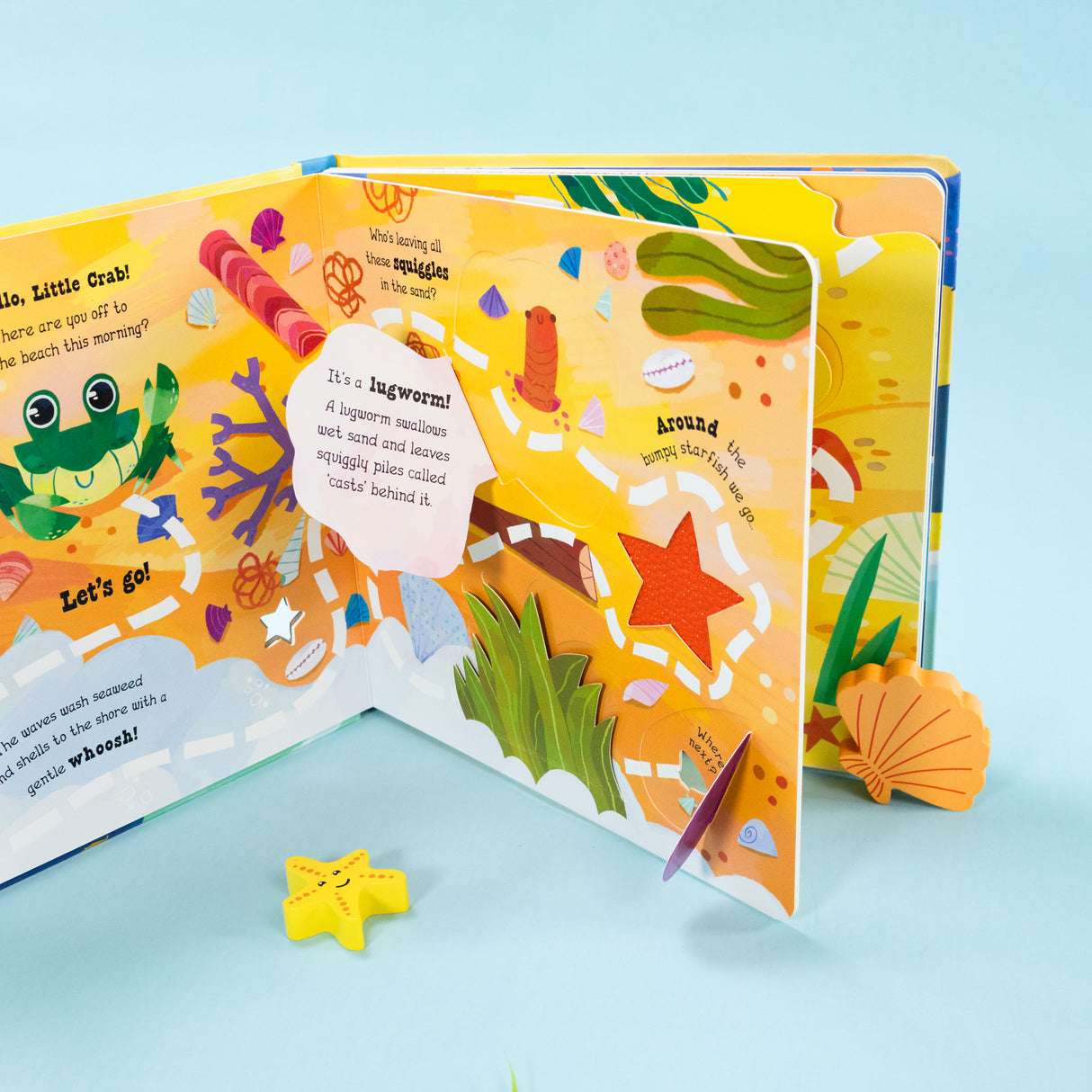 Explore the Beach with Little Crab