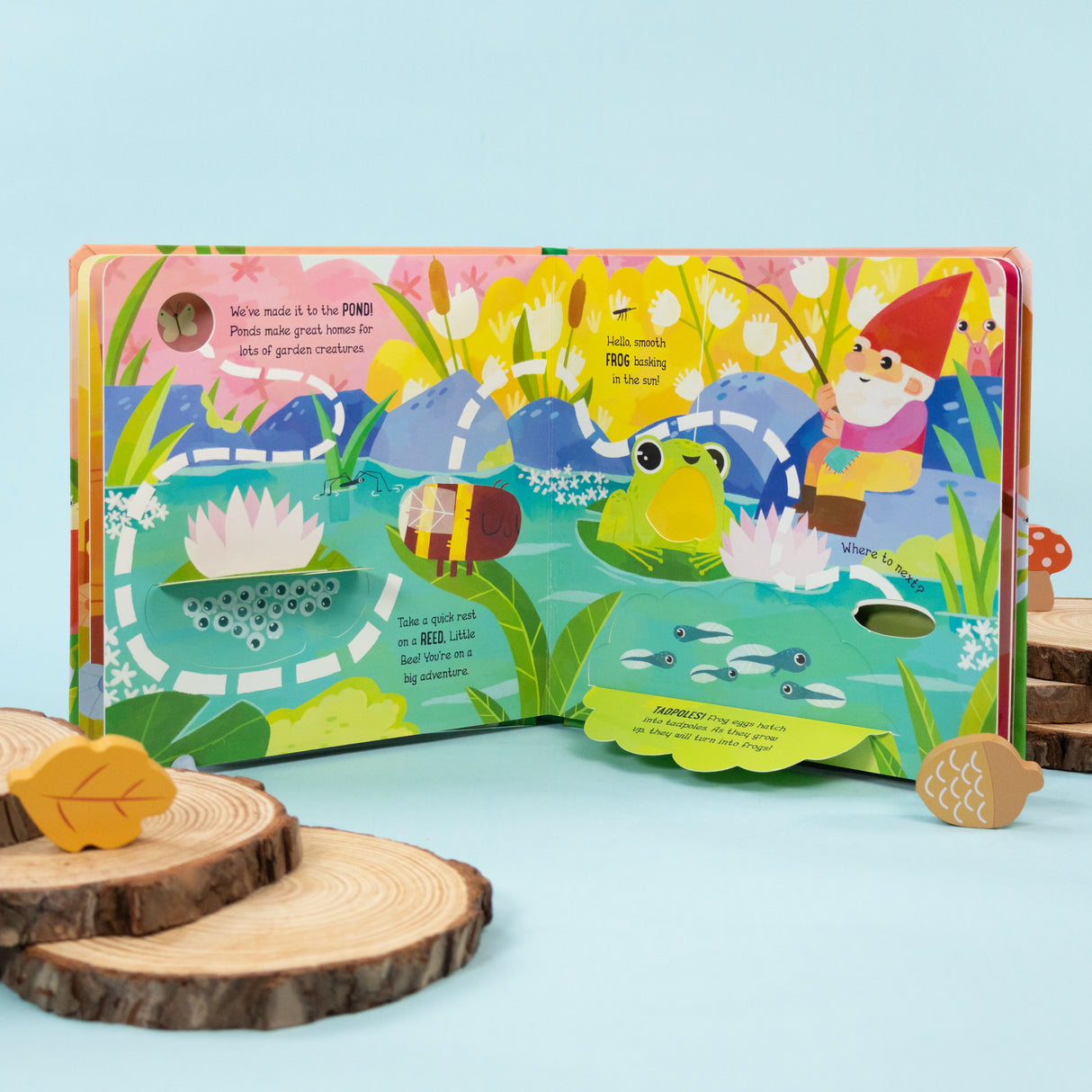 Explore the Garden with Little Bee