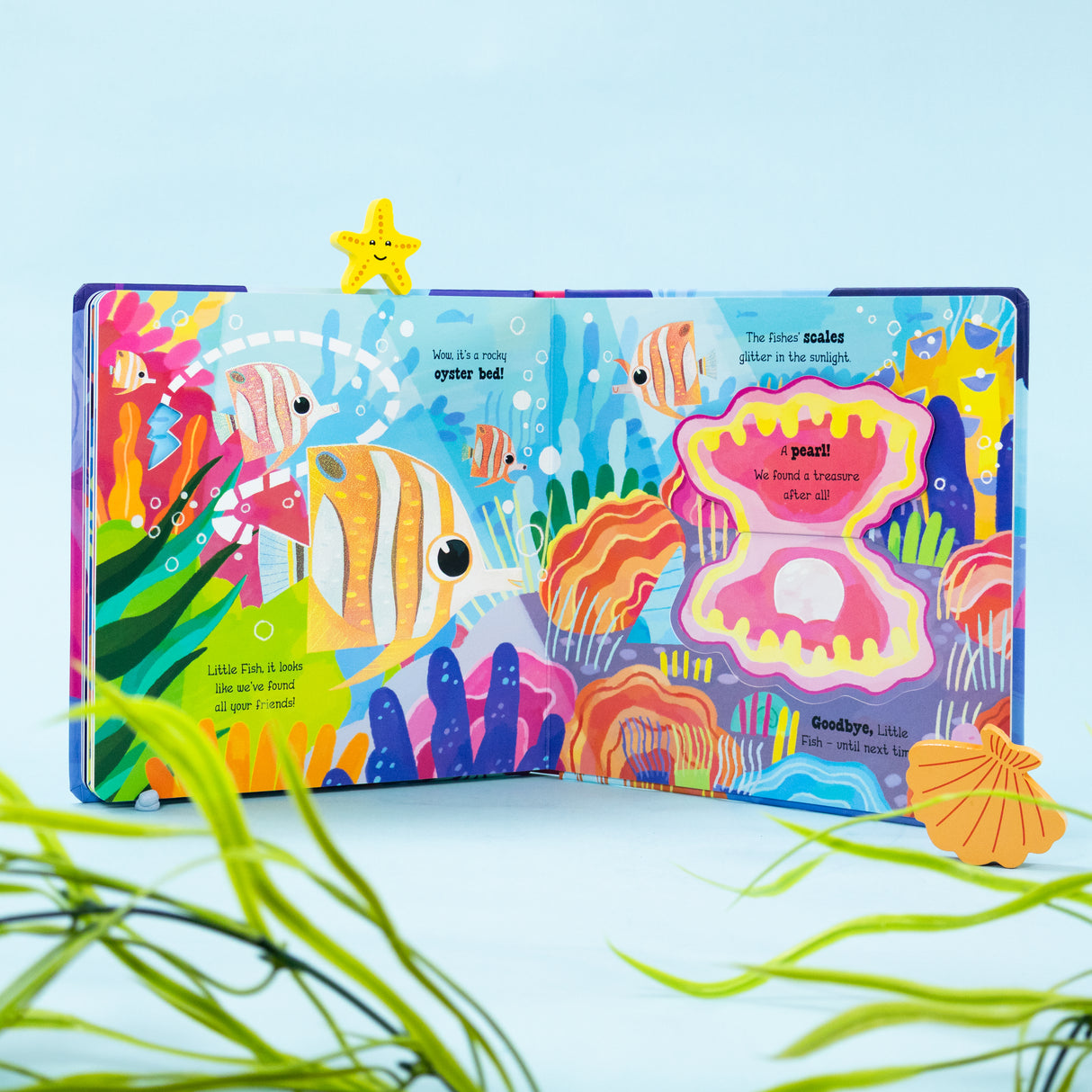 Explore the Reef with Little Fish