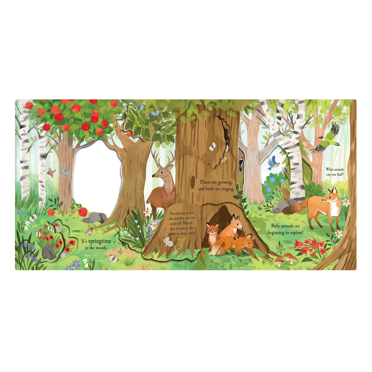 Let's Explore The Woods - Children's Lift-The-Flap Book