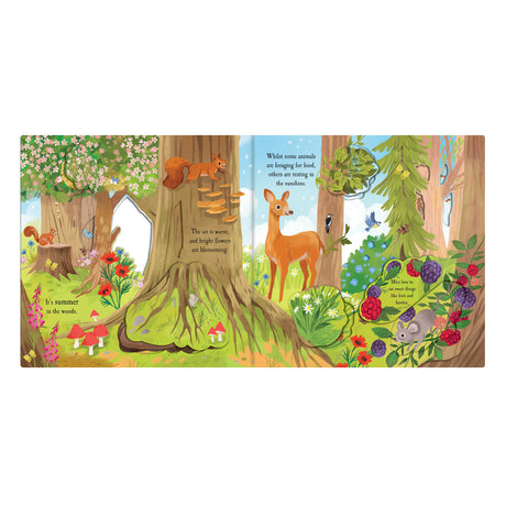 Let's Explore The Woods - Children's Lift-The-Flap Book