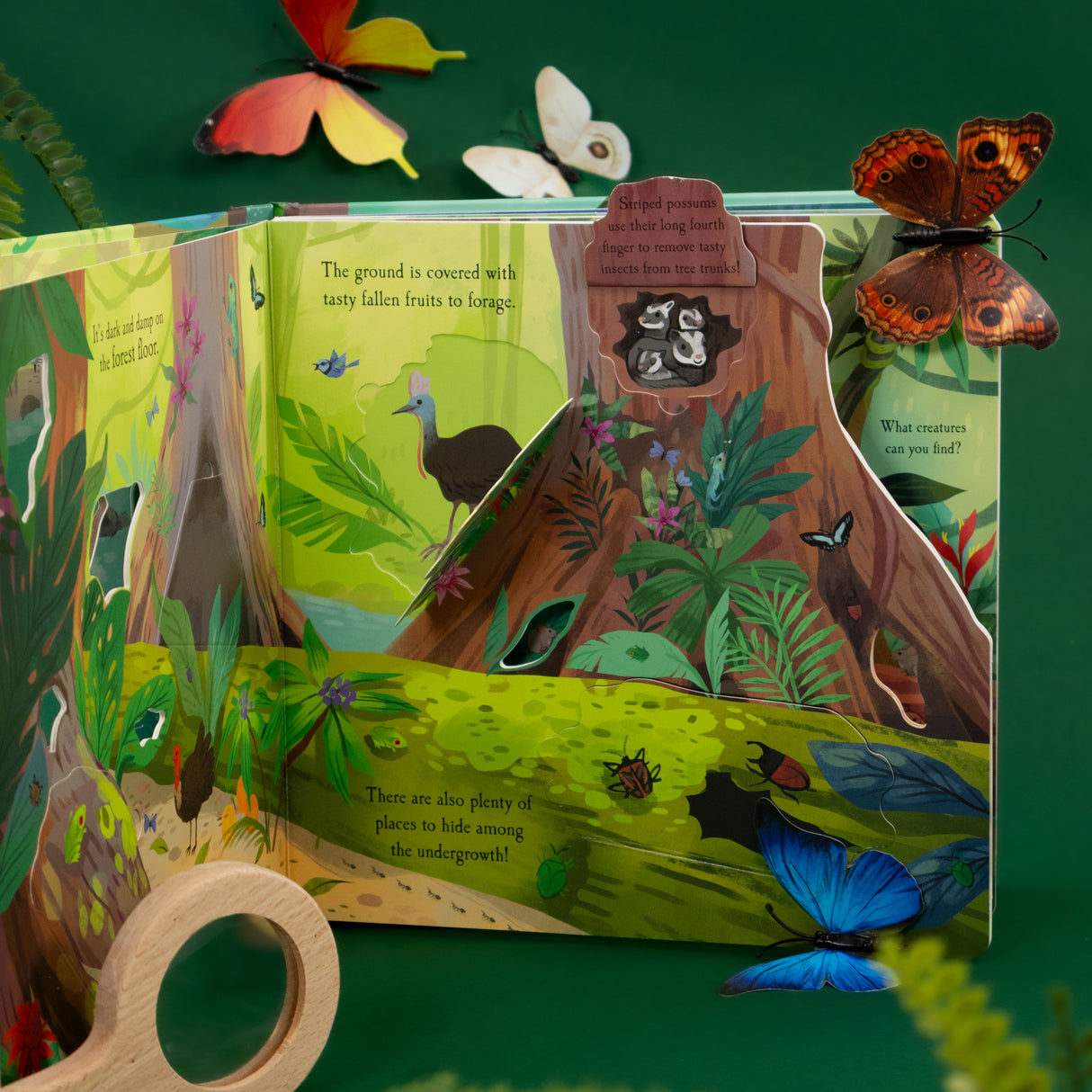 Let’s Explore The Rainforest - Children’s Lift-the-Flap Book