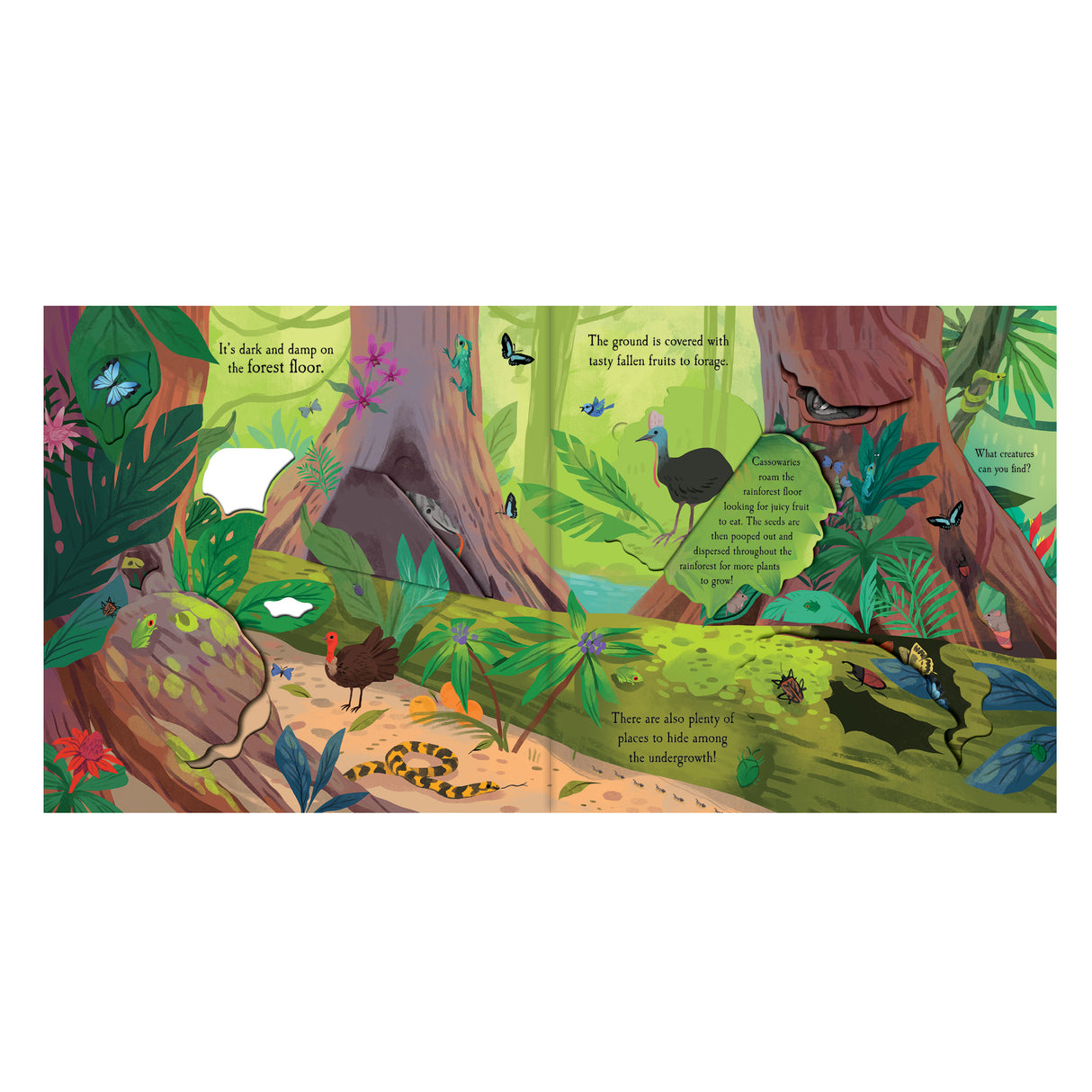 Let’s Explore The Rainforest - Children’s Lift-the-Flap Book