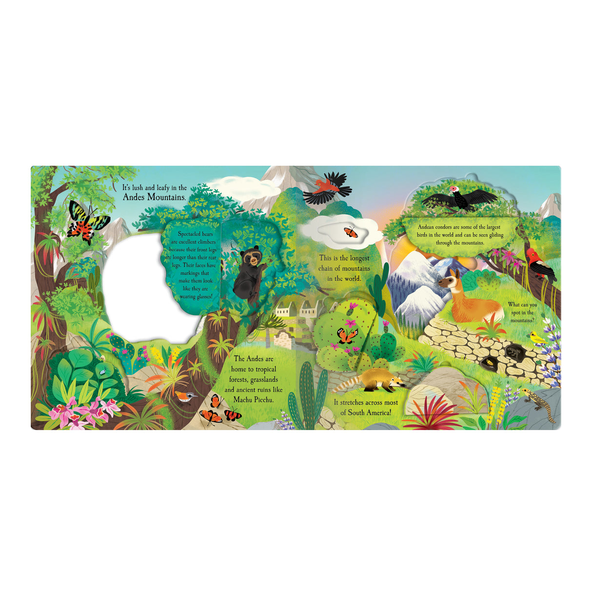Let's Explore The Mountains - Children's Lift-The-Flap Book