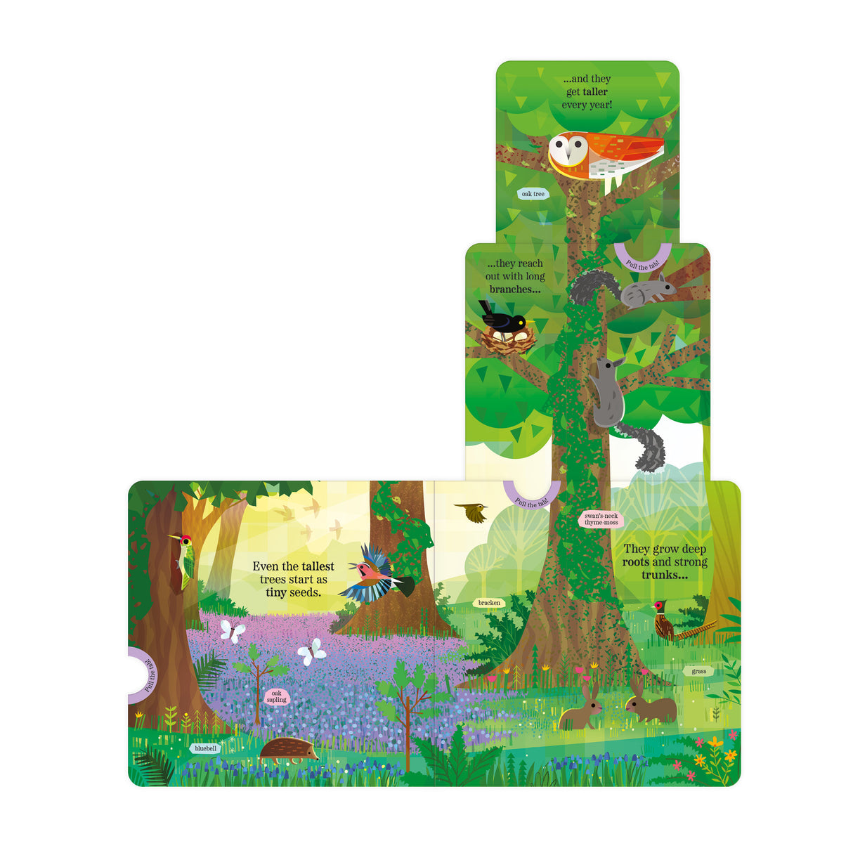 Amazing Plants - My Nature Pull-Tab Board Book