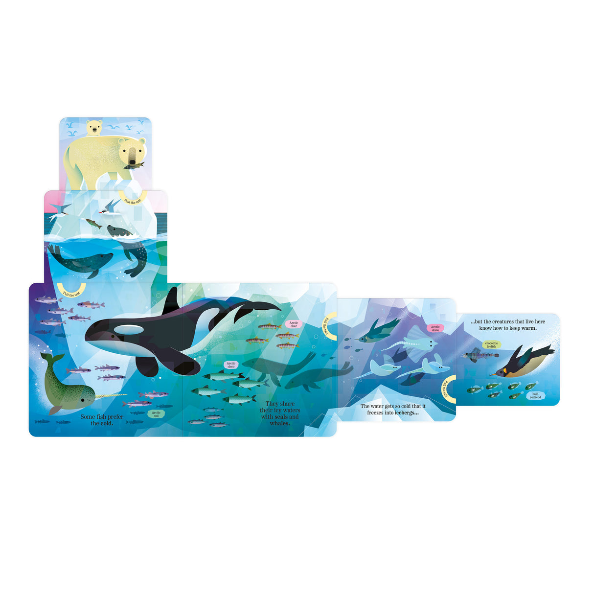 Fantastic Fish - My Nature Pull-Tab Board Book